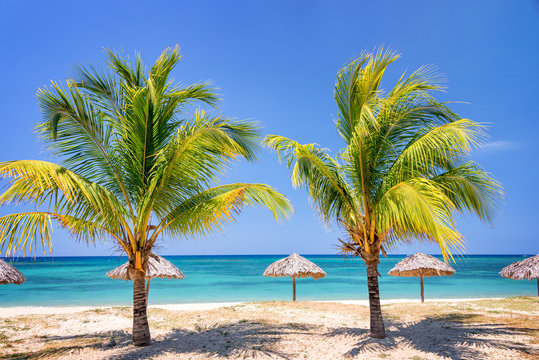 Straw umbrellas and palm trees on a beautiful tropical beach © Delphotostock