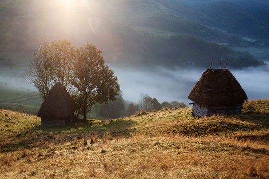 sheep farm in the mountains on foggy spring morning - Apuseni mountains, Transylvania