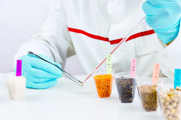 Scientist testing gmo plants and seeds in biological laboratory 