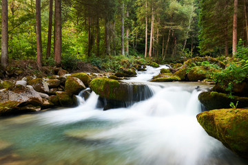 Beautiful alpine stream
