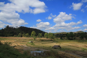 landscape and beautiful sky.