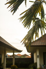 Fototapeta na wymiar Bali villas, holidays in Asia