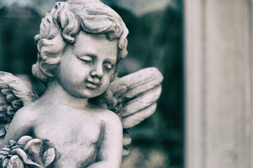 Obraz premium Beauty Cupid statue of Angel in vintage garden on summer. Holding bouquet flowers in his hand