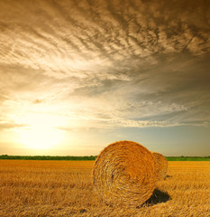 Hay bale in the countryside