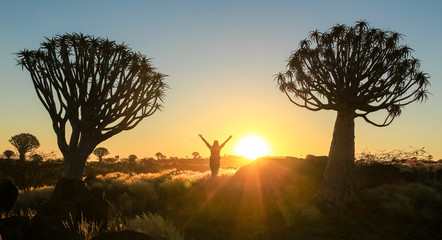 Happy successful winning woman arms up between trees at sunset