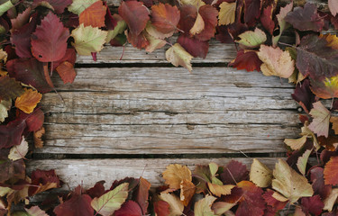 Naklejka na ściany i meble Autumn red and yellow leaves framing the wooden table 