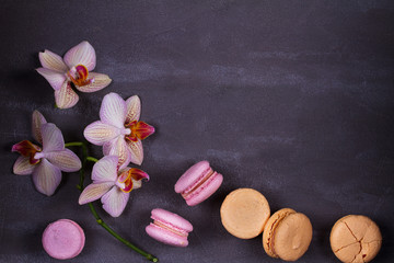 Obraz na płótnie Canvas Orchids and cake macaron or macaroon on gray background from above. Flat lay, top view. Flower and cookie still life. Pastel colors, vintage card with copy space