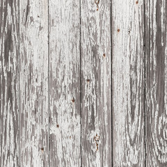 The white wood texture with natural patterns background
