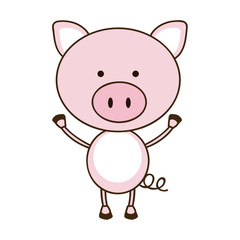 Obraz na płótnie Canvas colorful picture cute pig animal vector illustration