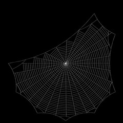Spiderweb. Isolated on black background. Sketch illustration.