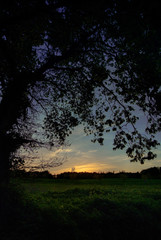 Fototapeta na wymiar Lucan Demesne Sunset