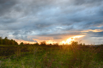 Green Field and Sunset