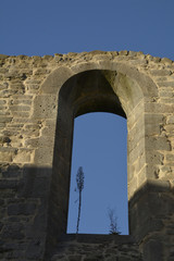 Fototapeta na wymiar kirchenruine kloster arnsburg
