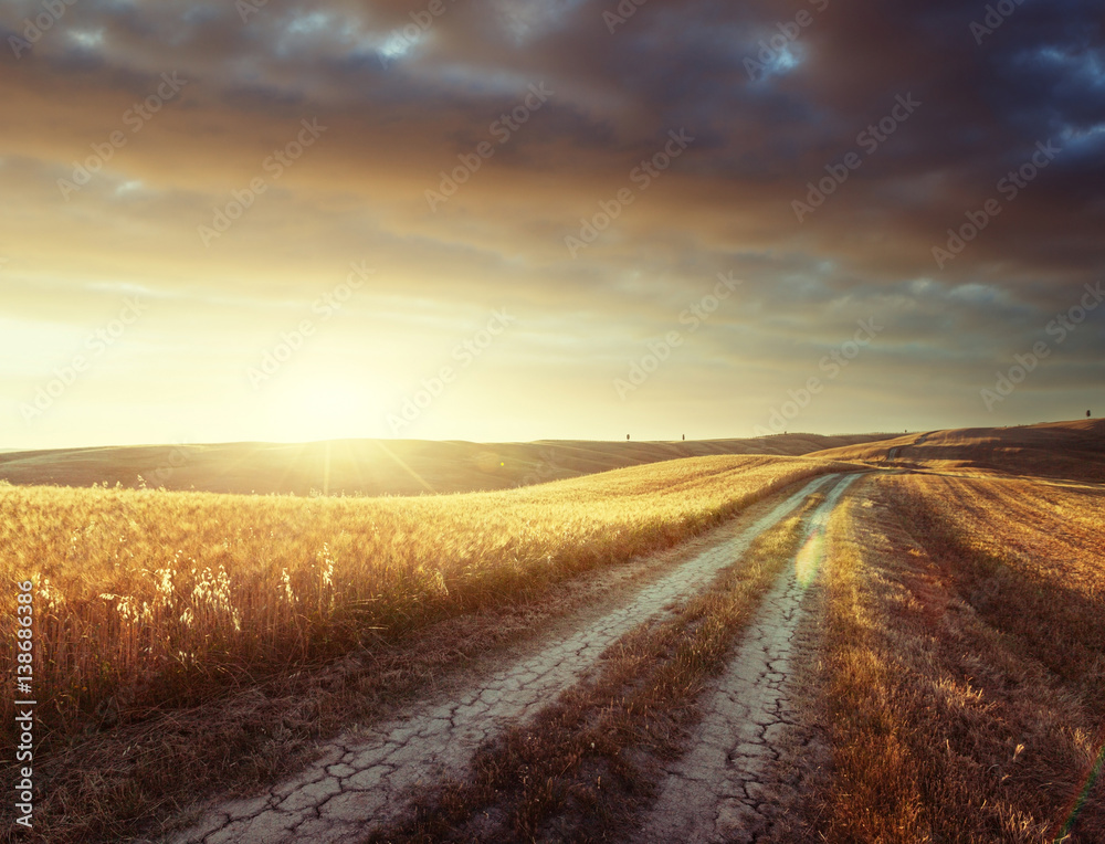 Canvas Prints Tuscany sunny road, Italy