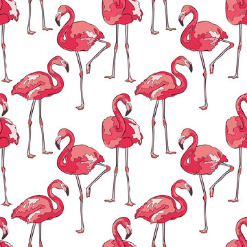 Colorful pink flamingos. Seamless vector pattern.