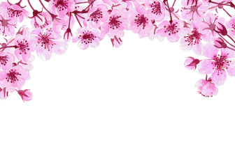 Naklejka premium Watercolor painting of cherry blossom branches forming border on white background with space for text. Template design.