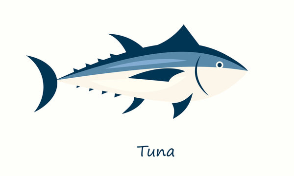 tuna fish isolated on white background. Simple flat image
