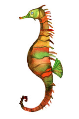 Watercolor illustration of sea fish. Seahorse.