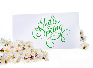 Spring greeting card with white flowers and text Hello Spring. Calligraphy lettering