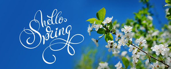 Beautiful blooming spring garden on a background of blue sky and text Hello Spring. Calligraphy...