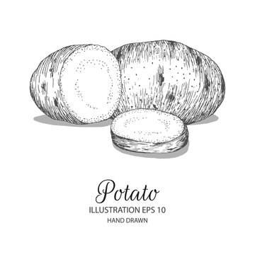 Potato Drawing  How To Draw A Potato Step By Step