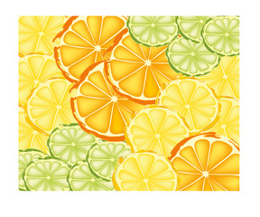 Fototapeta na wymiar Slices of oranges, lemons, and limes