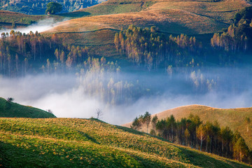 Fototapeta premium sheep farm in the mountains on foggy spring morning - Apuseni mountains, Transylvania