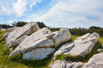 White natural marble