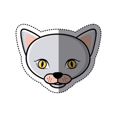 sticker grey shading picture face cute cat animal vector illustration