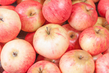 Fresh red apples closeup