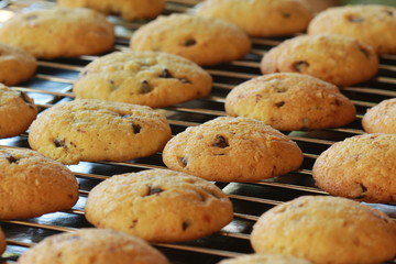 The chocolate chip newly baked cookies place on grill