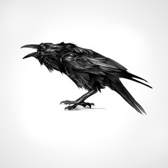 painted black raven sitting isolated