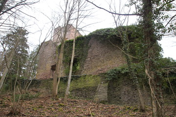 Burgruine Liebeneck im W&uuml;rmtal im Nordschwarzwald