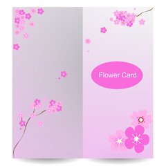 Cherry blossom, Japanese flowering cherry hanami flower card vector