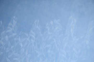 reflection in the window