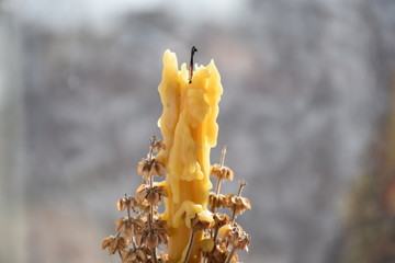 wax extinguished candle