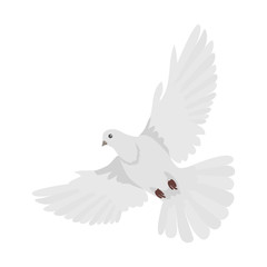 Pigeon Flat Design Vector Illustration
