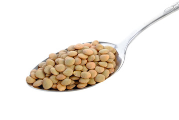 lentils in spoon isolated on white background