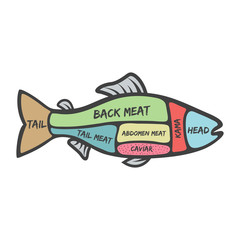 Saltwater fish isolated on white background.