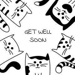 Background with black and white cat