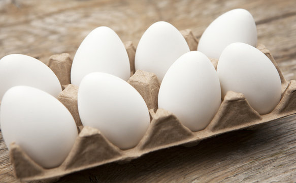 carton d’œufs blanc frais bio