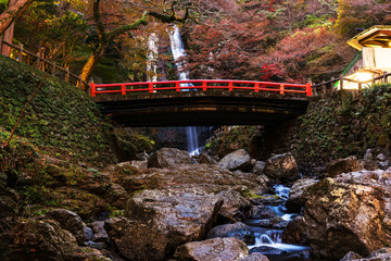 Obraz premium Minoo waterfall autumn, Osaka