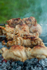 chicken kebab on skewers cooked on the coals from the fire in field conditions