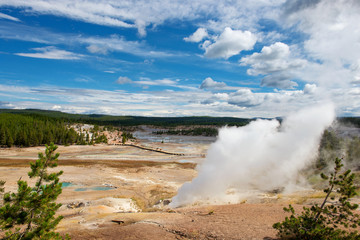 Norris Geyser Basin: Hottest geyser basin in Yellowstone National Park 