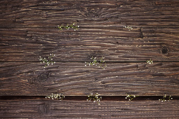 gypsophila flowers on old wooden background