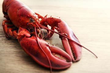 Red lobster on wood