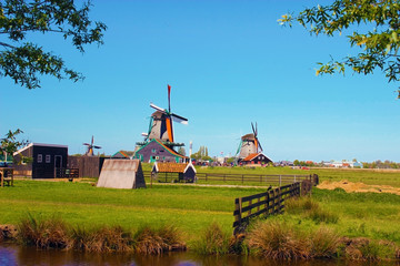 Fototapeta premium Old windmills in Amsterdam