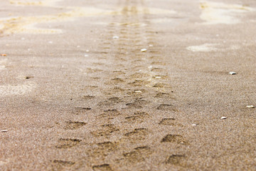 Car Marks in the Sand