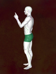 Fototapeta na wymiar Acupuncture model M-POSE EHP-02-6, 3D illustration