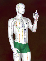 Acupuncture model M-POSE EHP-02-8, 3D illustration